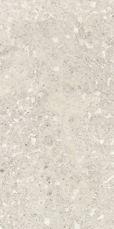 Sea Luster Avorio Matte 12 x 24